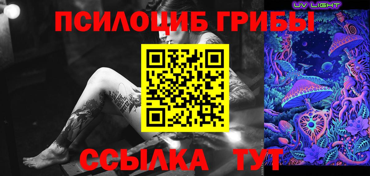 где можно купить   Псилоцибиновые грибы Magic Shrooms  Вход с VPN  Зеленогорск 
