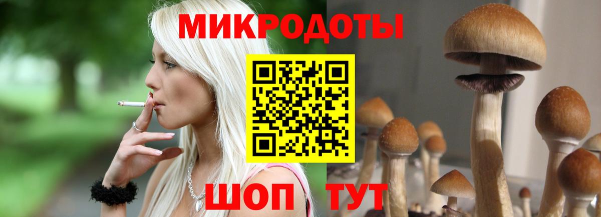 Псилоцибиновые грибы MAGIC MUSHROOMS Зеленогорск